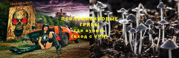 ALPHA-PVP Бородино