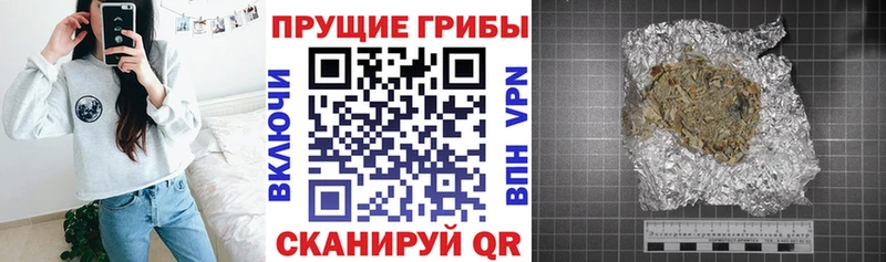 MEGA вход  Облучье  маркетплейс клад  Псилоцибиновые грибы Psilocybe 