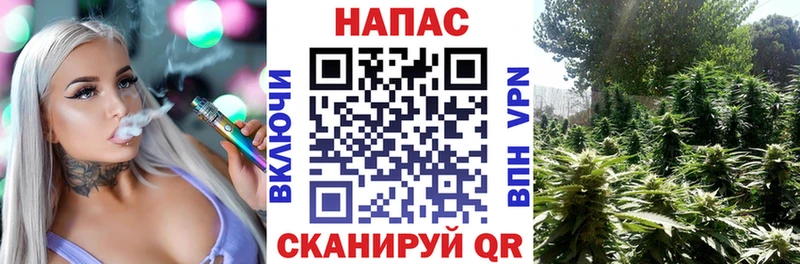 Бошки марихуана марихуана  МЕГА зеркало  Облучье 